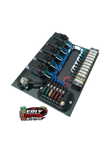 Race car fuse - fuse/relay, panel